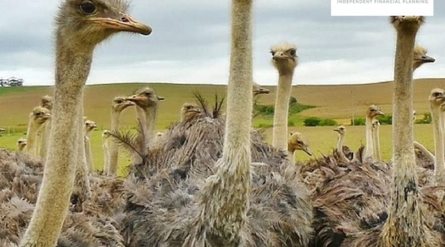 “Ostrich mentality” about retirement savings