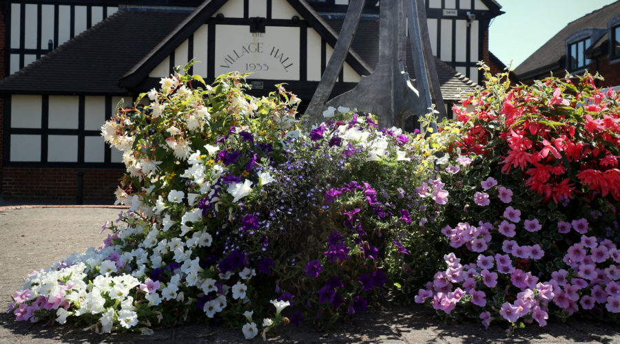 Cranleigh reaches RHS Britain in Bloom 2019 finals