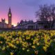 Spring Statement Highlights & Analysis