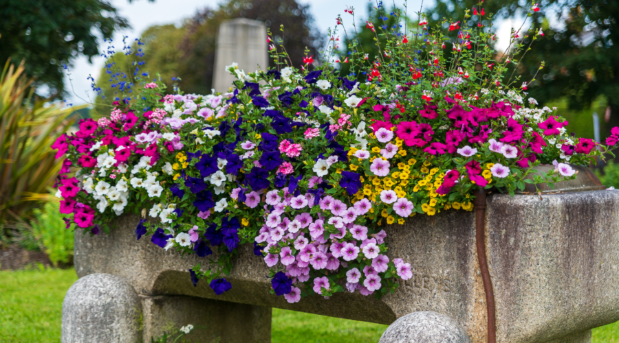 Volunteers help to plant, weed and tidy around the village in Cranleigh